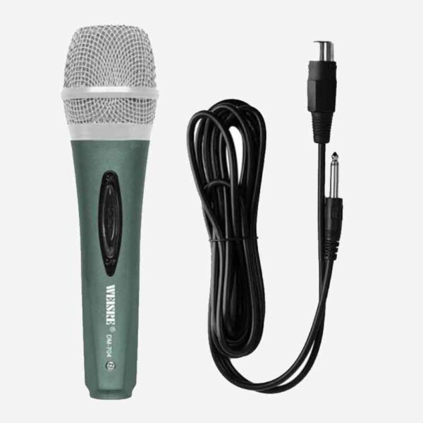 Micrófono Weisre DM-704 Alámbrico Dinámico Cardioide Kuma